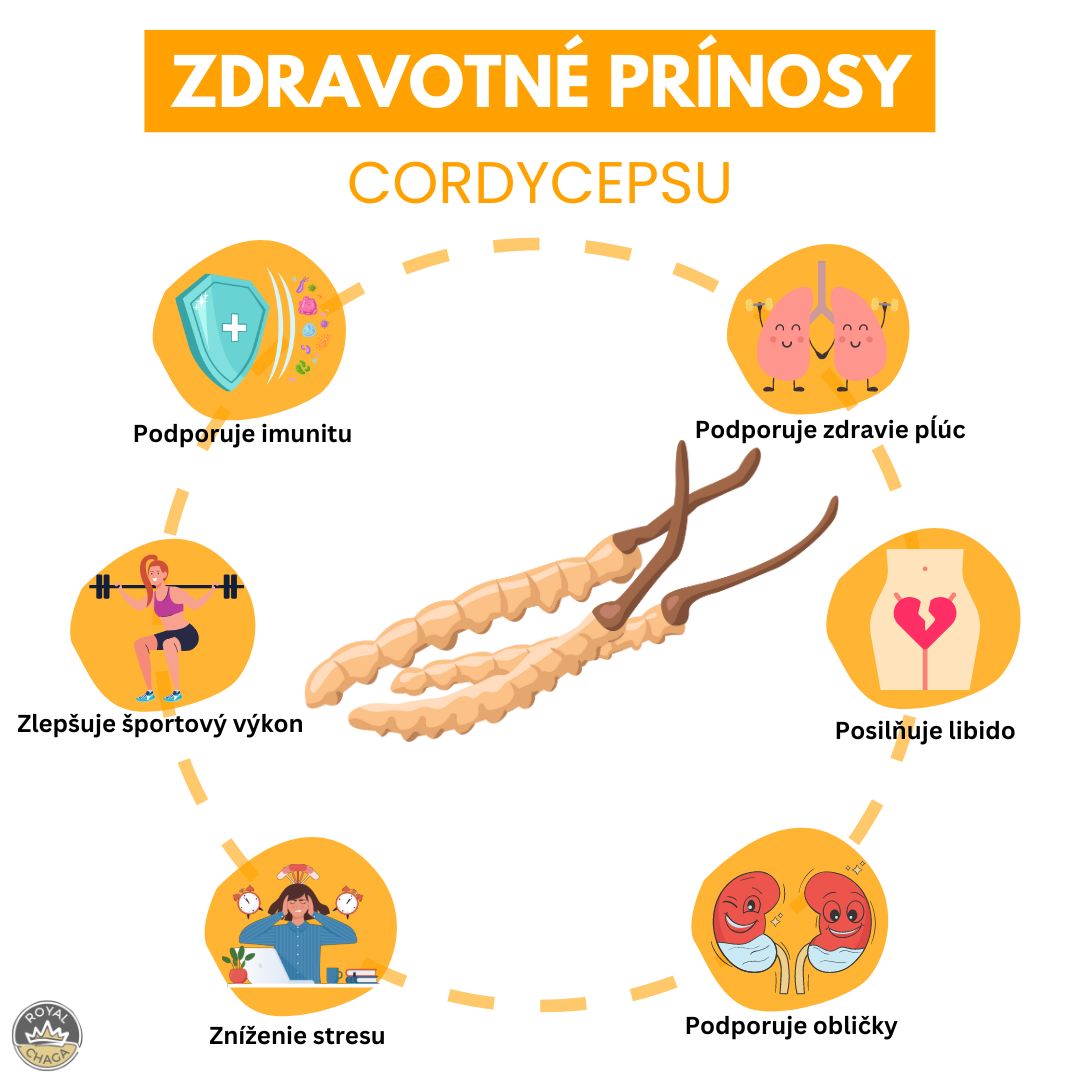 Zdravotné prínosy Cordycepsu